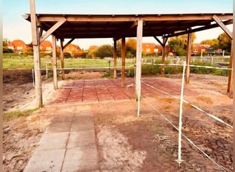 Available stable space in an open stable – suitable for horses with allergies or respiratory sensiti