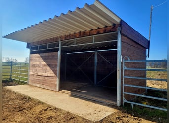 Beautiful open stables and paddock boxes available.