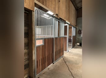Care for non-riding horses and ponies / Retirement management