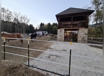 Einstellplatz mit Reitplatz uvm