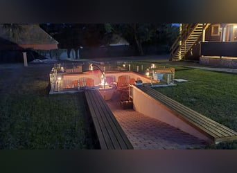 Freie Pferdeplätze auf der El Bronco Ranch (Ungarn)