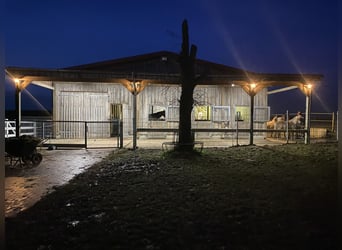 Gleich am Naturschutzgebiet  mit Tollen Reitplatz