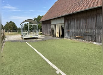 Offenstallplatz 