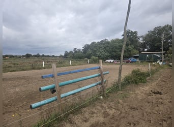 Offenstallplatz frei 