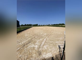 Open stable space available from the end of May