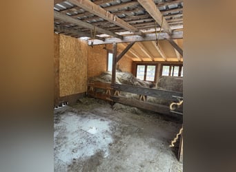 Open stable space available – Self-care open stable
