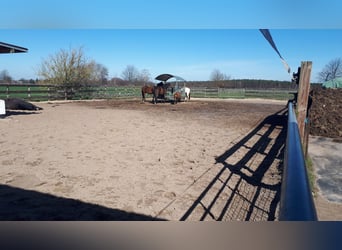 Open stable spaces available