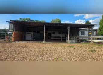 Pasture available for self-sufficient riders
