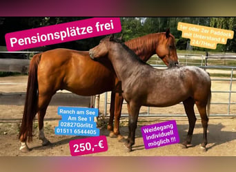 Pasture-based stable space