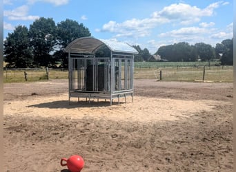 Pasture space available for a gelding in Otter, 21259