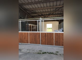 Platz in Offenstall frei