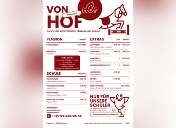 Professioneller, familiärer Pferdestall bietet Pferdepension, Pferdetraining und Reitunterricht