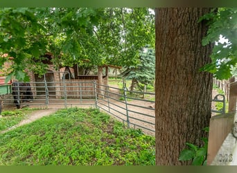 Space available in the mini paddock trail in southeastern Lower Saxony