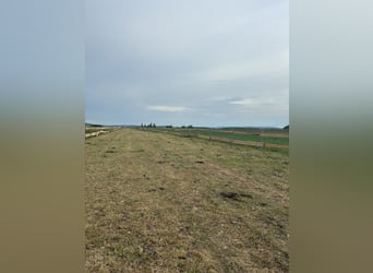 Stable available for 2 horses