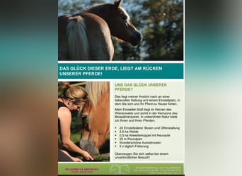 Stabling spaces available