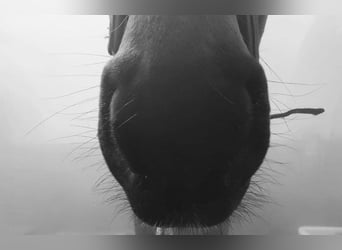 Atme tief durch! Unser Lungenerholungs- & Aufbaumonat