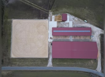Available stabling in our equestrian facility in Metzenhof!