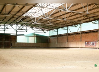 Boxen frei auf TOP Reitanlage mit 2 Reithallen / Pferde ReHa / AQUA-Trainer