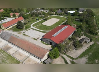 Einstellplätze am Islandpferdehof Reitzentrum Gut Sachsengang bei Wien