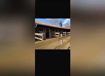 Horse Stalls Paddock Boxes