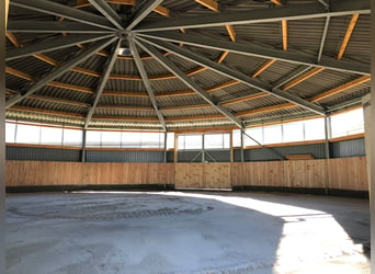 Horse Therapy | Equine Rehabilitation, Therapy Area, Treatment Place, Rehabilitation Spot