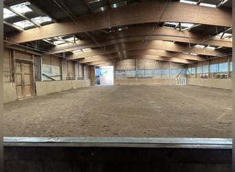 Kleiner Familiengeführter Stall hat Boxen frei 