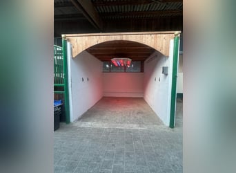 Large paddock and indoor stalls for rent