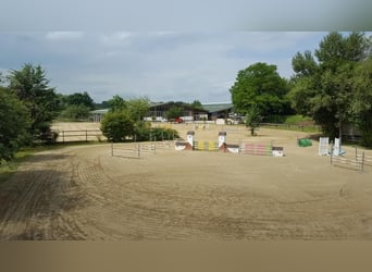 Large paddock and indoor stalls for rent