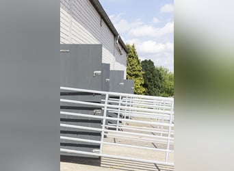 Neuerhöffnung "Reiterhof zur Windmühle" - Paddockboxen u.v.m. in 49328 Melle