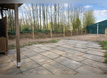 Paddock boxes, outdoor stalls, herd management, foal rearing, training, riding services