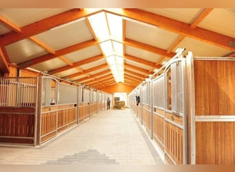 Paddock boxes with full board available on a peaceful estate