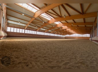 Paddockbox auf großer Reitanlage mit top Trainingsbedingungen