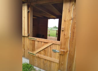 Paddockbox in priv. Stall, 