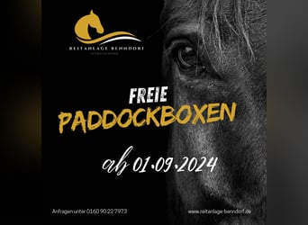 Paddockboxen frei! 