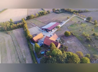 Private stable in the Münsterland region