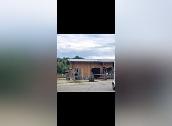 Small stable community