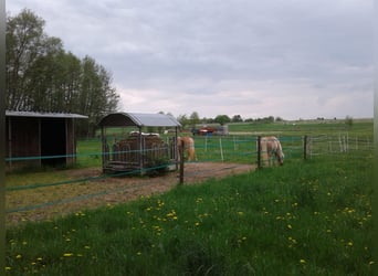 Ahnatal from the 2026 season