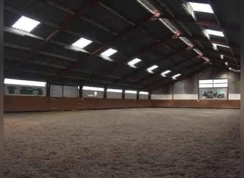 Spacious stables available – independent and professional horse care