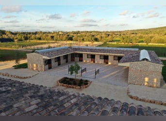 Available stabling at VMG Horse Ranch