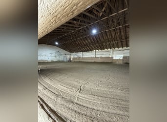 Boxen Einstellplätze frei