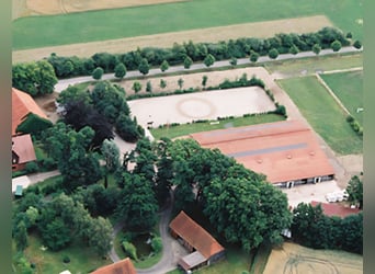 Freie Pferdeboxen in 27246 Bockhop