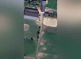 Horse boarding & training facility near Niebüll / North Sea – Full board available