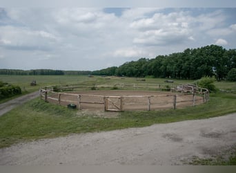 Stable available!