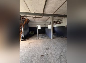 Stable available – Full board – Riding facility – Boarding services