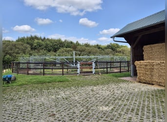 Stalls available (>16 sqm) with full board or self-catering options