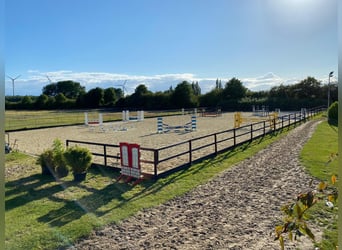 Stalls / Paddock boxes available