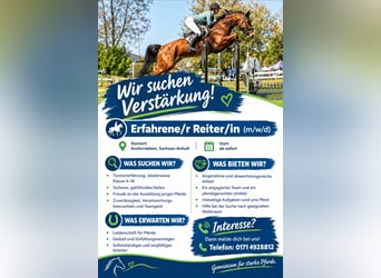 Groom/rider wanted (m/f/d)