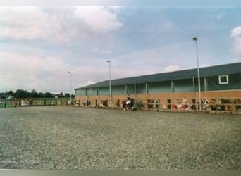 Job Opening – Equine Specialist (preferably specializing in Breeding) Wanted!!!