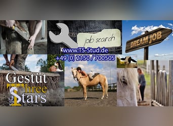 Job Opening – Equine Specialist (preferably specializing in Breeding) Wanted!!!