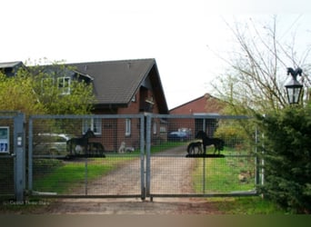Job Opening – Equine Specialist (preferably specializing in Breeding) Wanted!!!